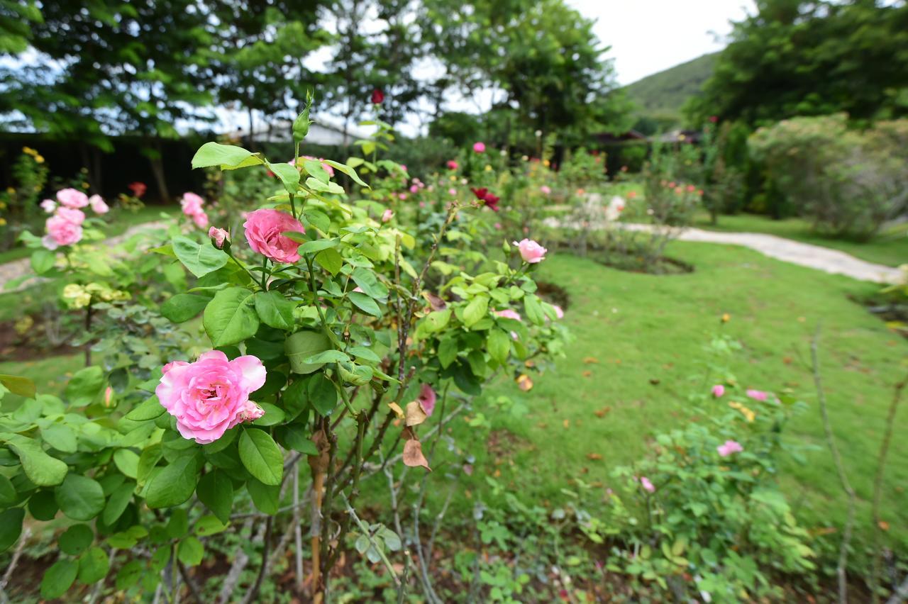 Rose Villa Hote Pakchong Ngoại thất bức ảnh